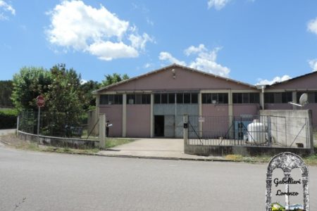 CAPANNONE/LABORATORIO VOLTERRA, CON UFFICIO, BAGNO E RESEDE SCLUSIVO